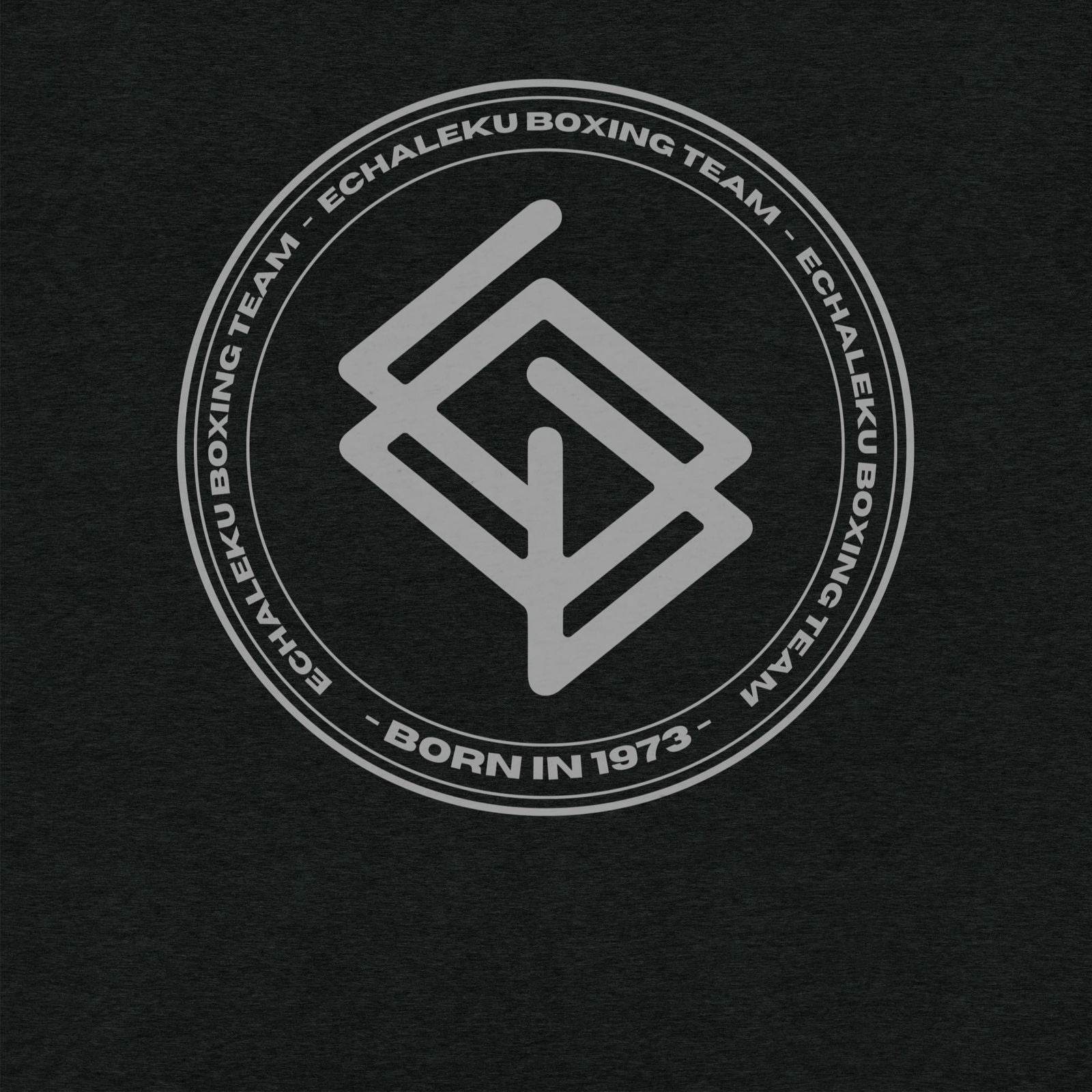 Camiseta Echaleku Boxing Team Silver - Echaleku Boxeo